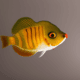 Sunfish