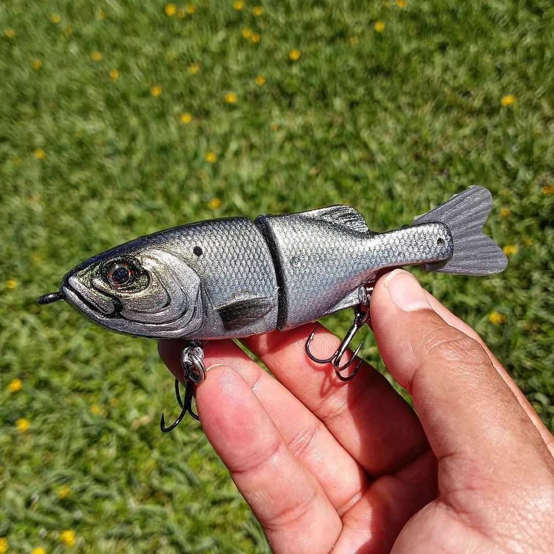 Yohan Custom Lures