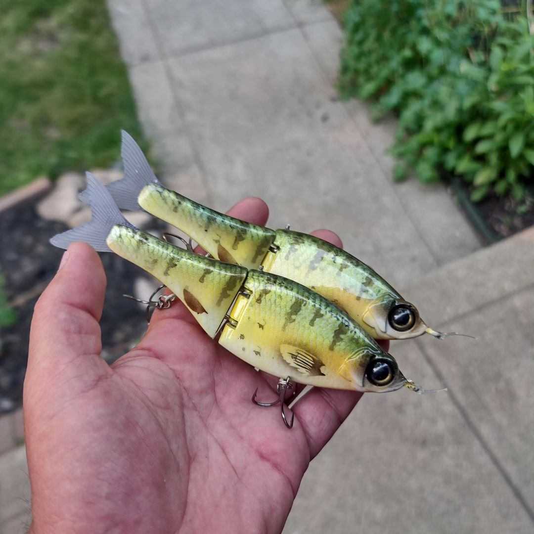 Trashy Bass Swimbaits