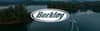 Berkley logo