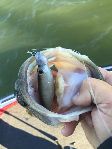 True Lock Swimbait Heads