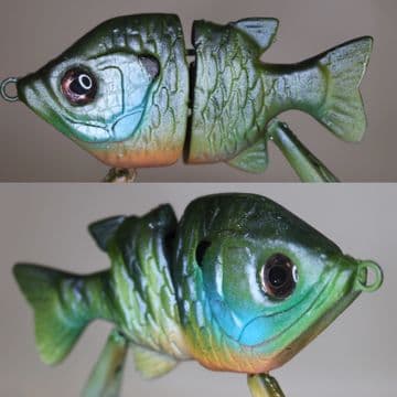 HC gill in bluegill 