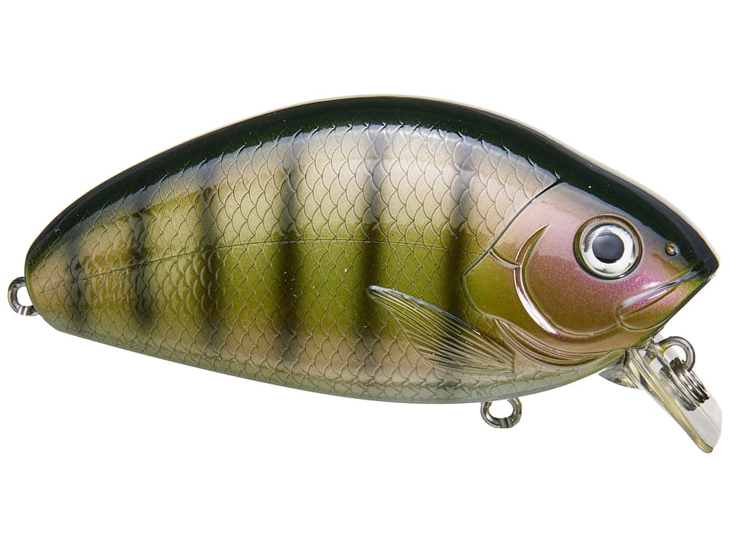 Bigbait Awaken Wakebait - Image 2