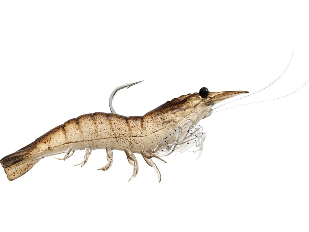 LIVETARGET Rigged Shrimp 4pk - Image 5