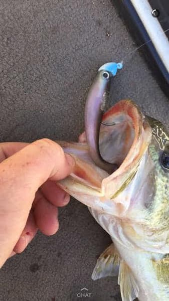 True Lock Swimbait Heads