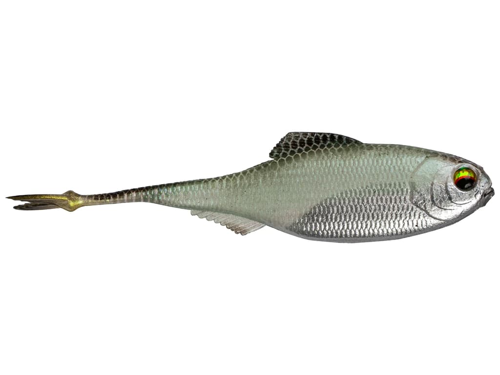 6th Sense Masterclass Fiction Shad - Image 7