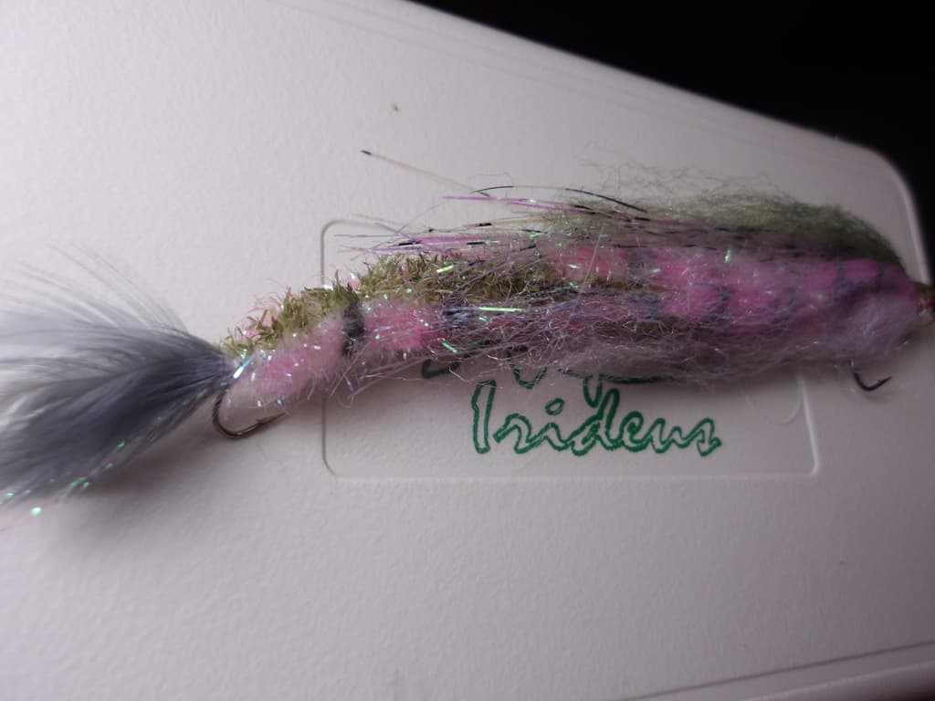 Morone Swimbait Two Soft baby trout drop shot Carolina rig 6 inches - Image 2