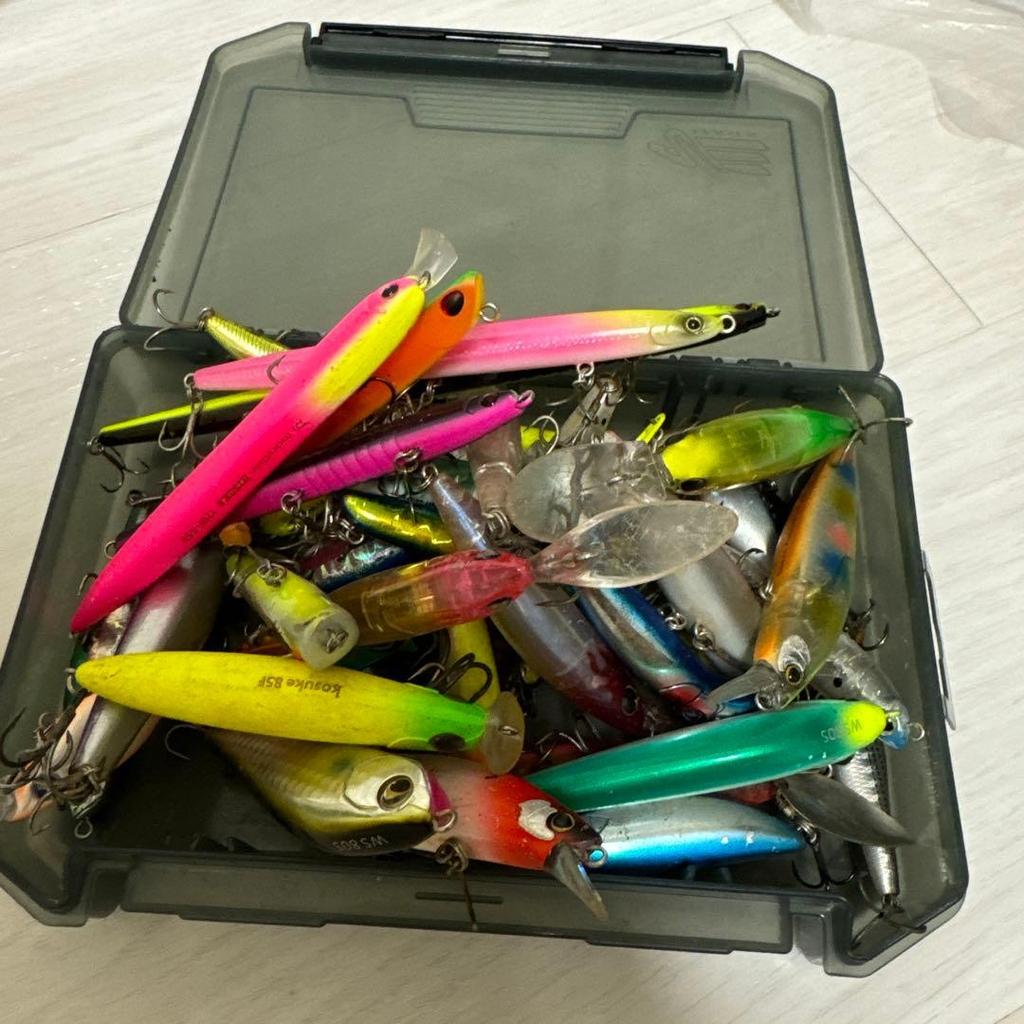 Bulk sea bass lure fishing - Image 1