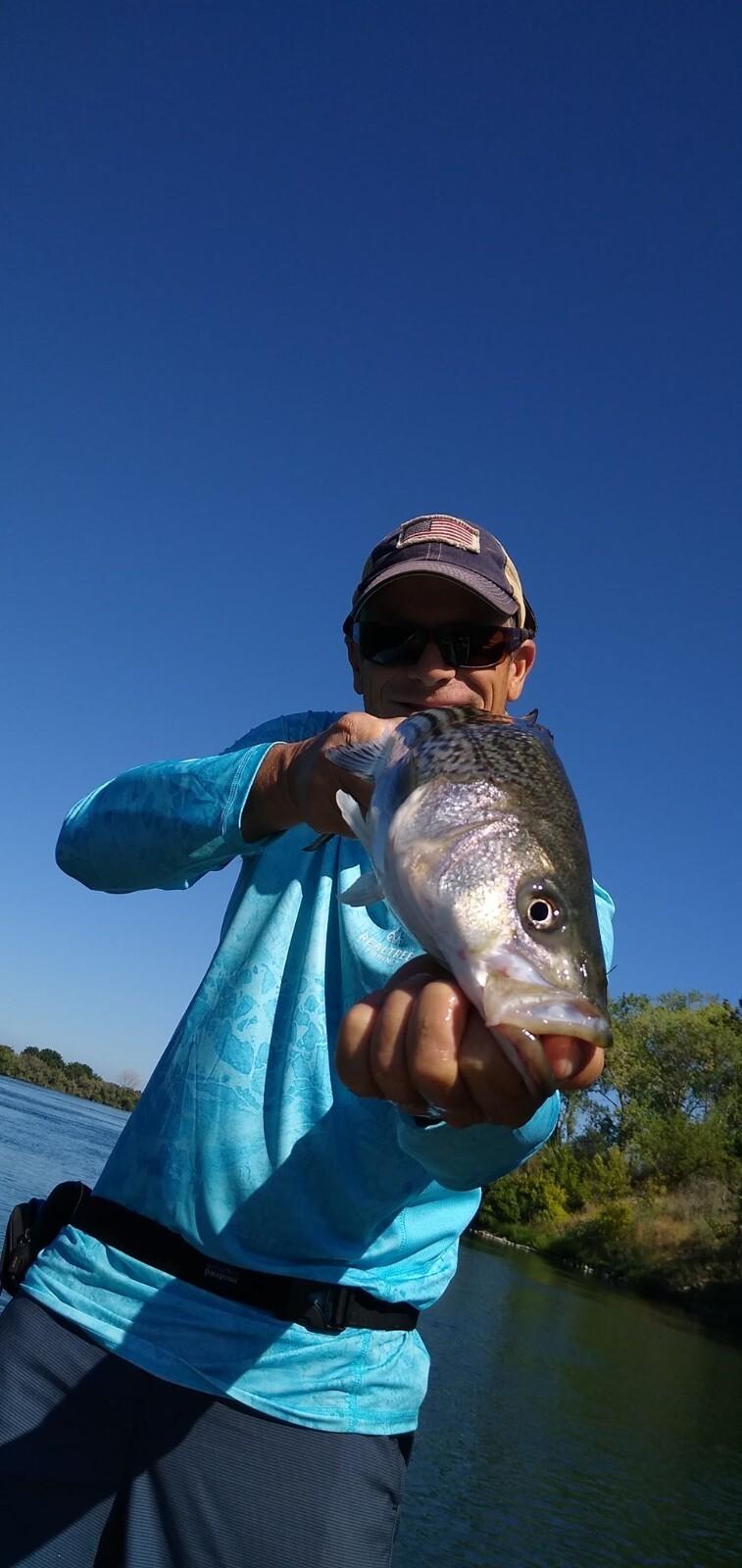 Swimbait sale auction 10 swimbaits  Striper swimbait fishing Glide Bait bass - Image 6