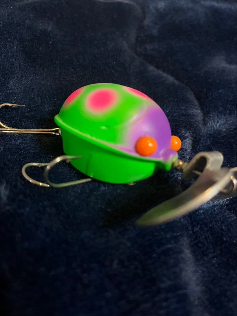 Frog s Ladybug - Image 4