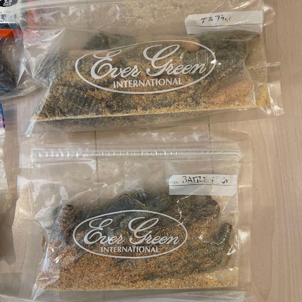 RAID JAPAN, Deps, Gary Yamamoto - Image 2