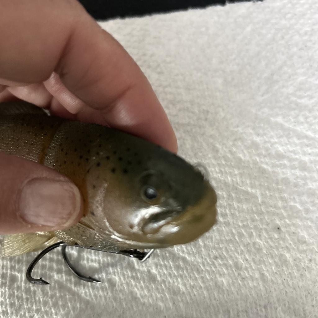 Original Rare Castaic Baits Platinum Series 8” Soft Jointed Trout Swimbait SS - Image 14