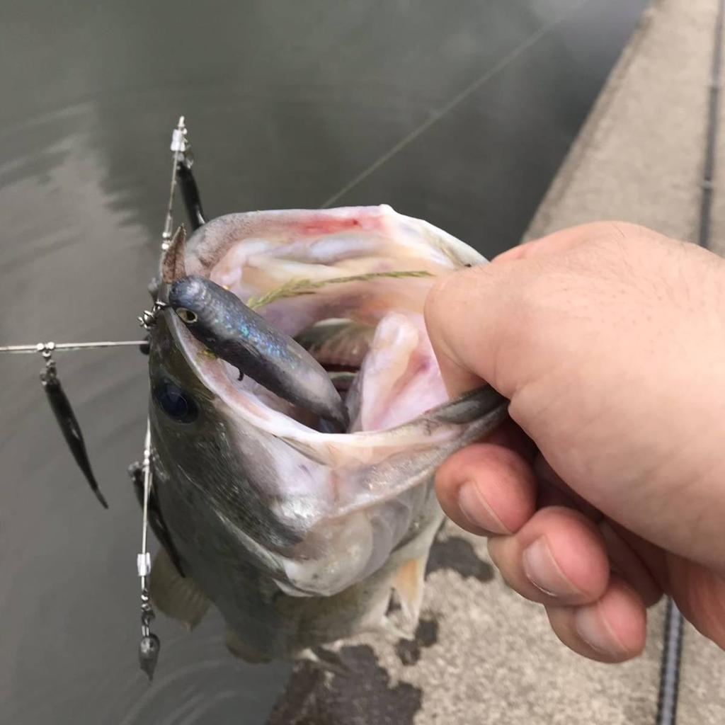 Alabama Rig Bama Fish Roller Ghost Wire Completed 18笘 Used - Image 6