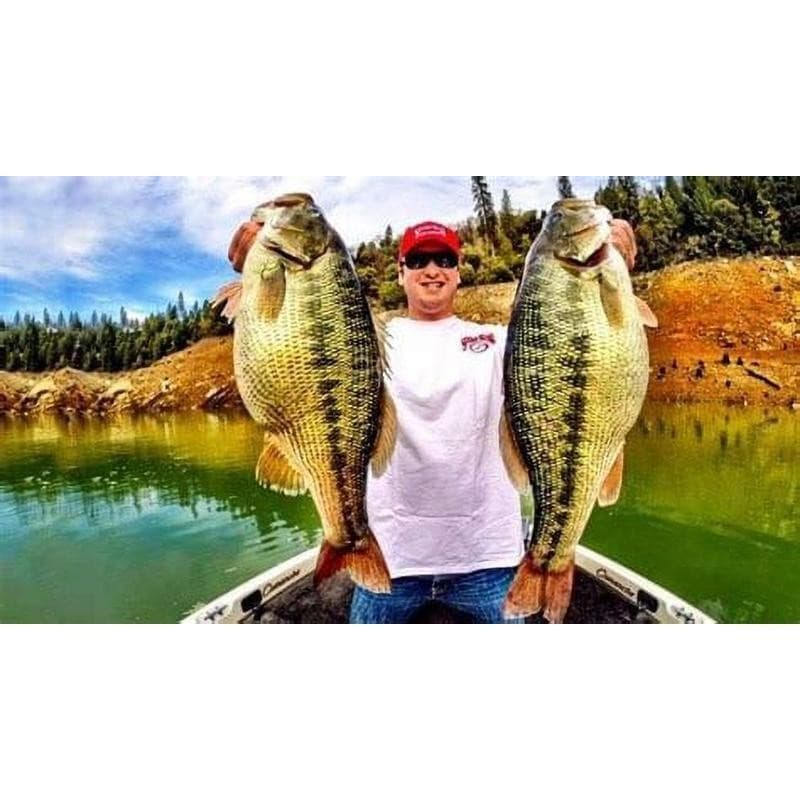 Tour Grade Titanium Umbrella Rig Five Wire System Fishing Lure 3D Eyes New - Image 2