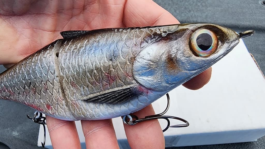 New Texas Swimbaits Gizzard Glide 8" 3.5oz Glide bait Chad Shad Clutch Pizz - Image 1