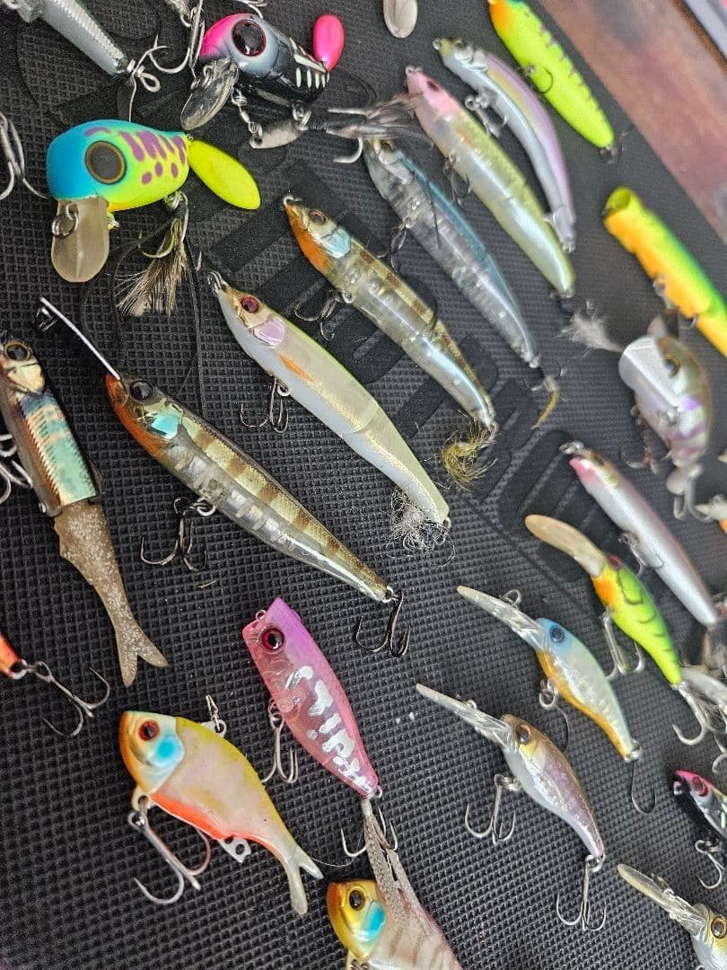 JACKALL Topwater Lure Collection, 40+ Pieces, Fishing Accessories, Japan - Image 5