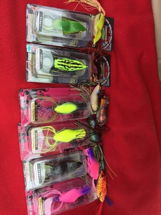 Frog, I owe you, Got it - Image 1