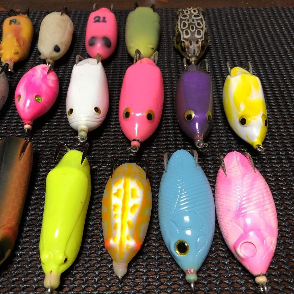 Snakehead frog - Image 3