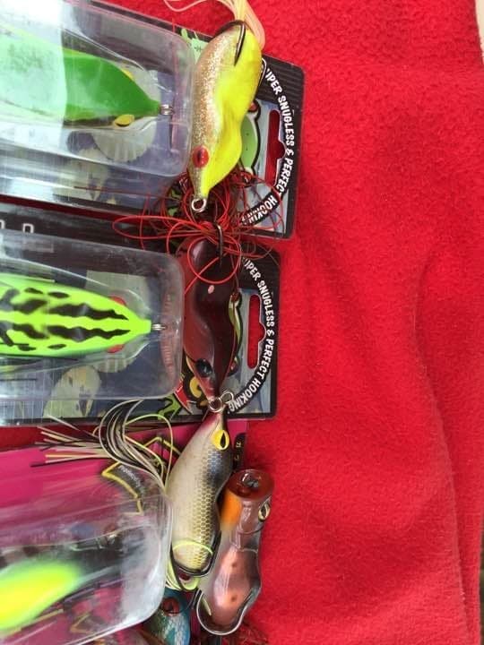 Frog, I owe you, Got it - Image 3