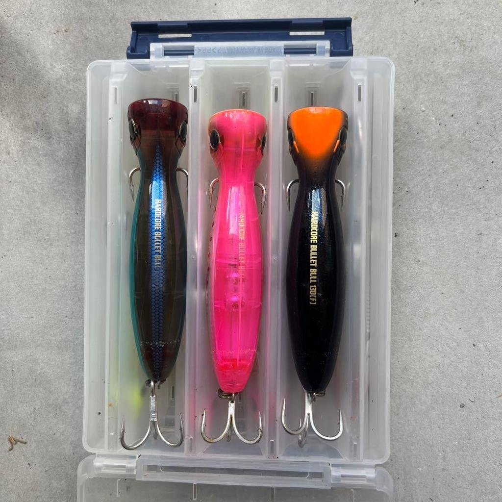 Blue-backed fish, shore jigging, lures, Setupper, Gekito Jig, Rapido, Bullet - Image 2