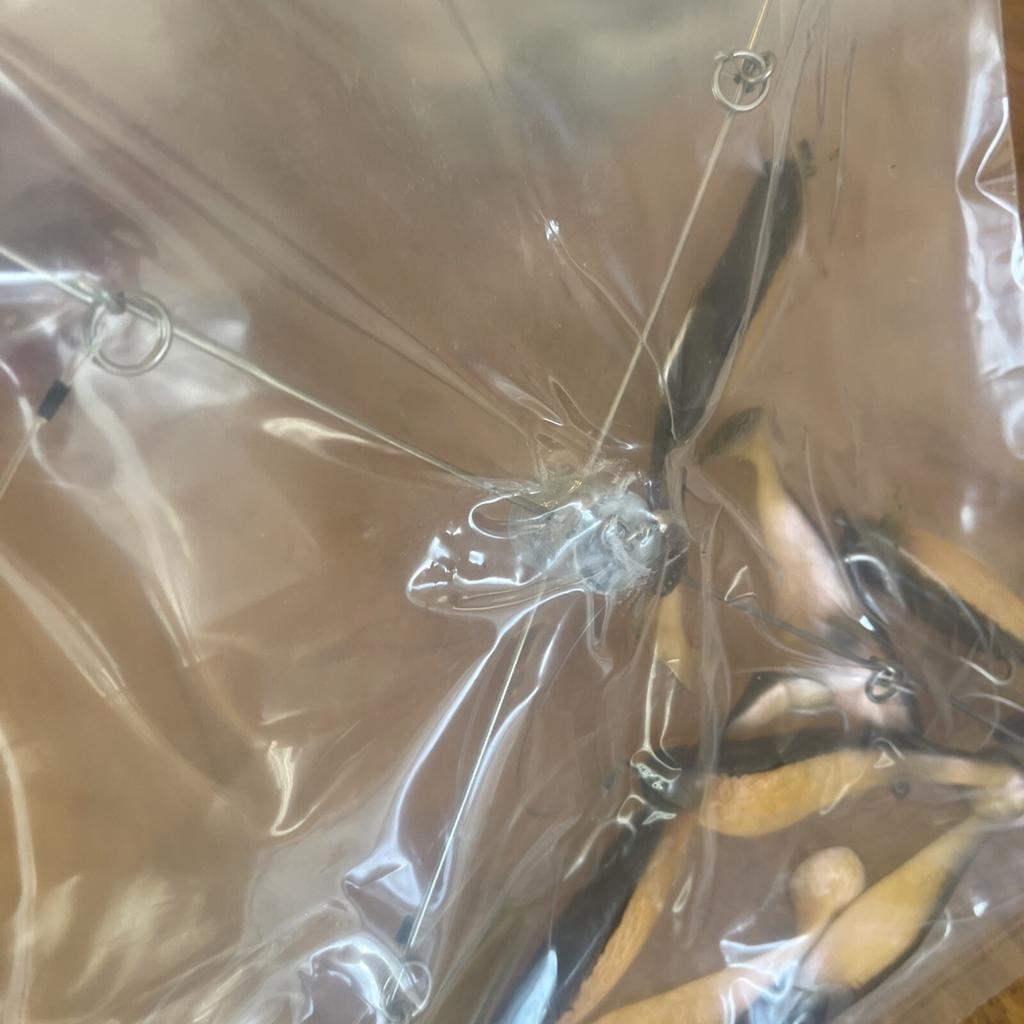 9” Umbrella Rig 4 Arm 11” With 6” Shad (9)  Pearl Black 8/0 Hook Mustad New Pkg - Image 5