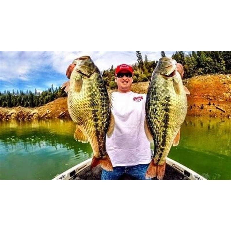 Titanium Umbrella Rig Lure Fishing Five Wire System Bladed Swivel Boat Tackle US - Image 3