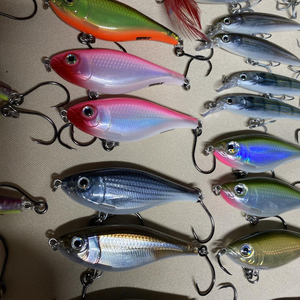 Giant Bundle of 55 Rapala X-Rap Jerkbaits - Top water Awesome Colors and Sizes! - Image 12