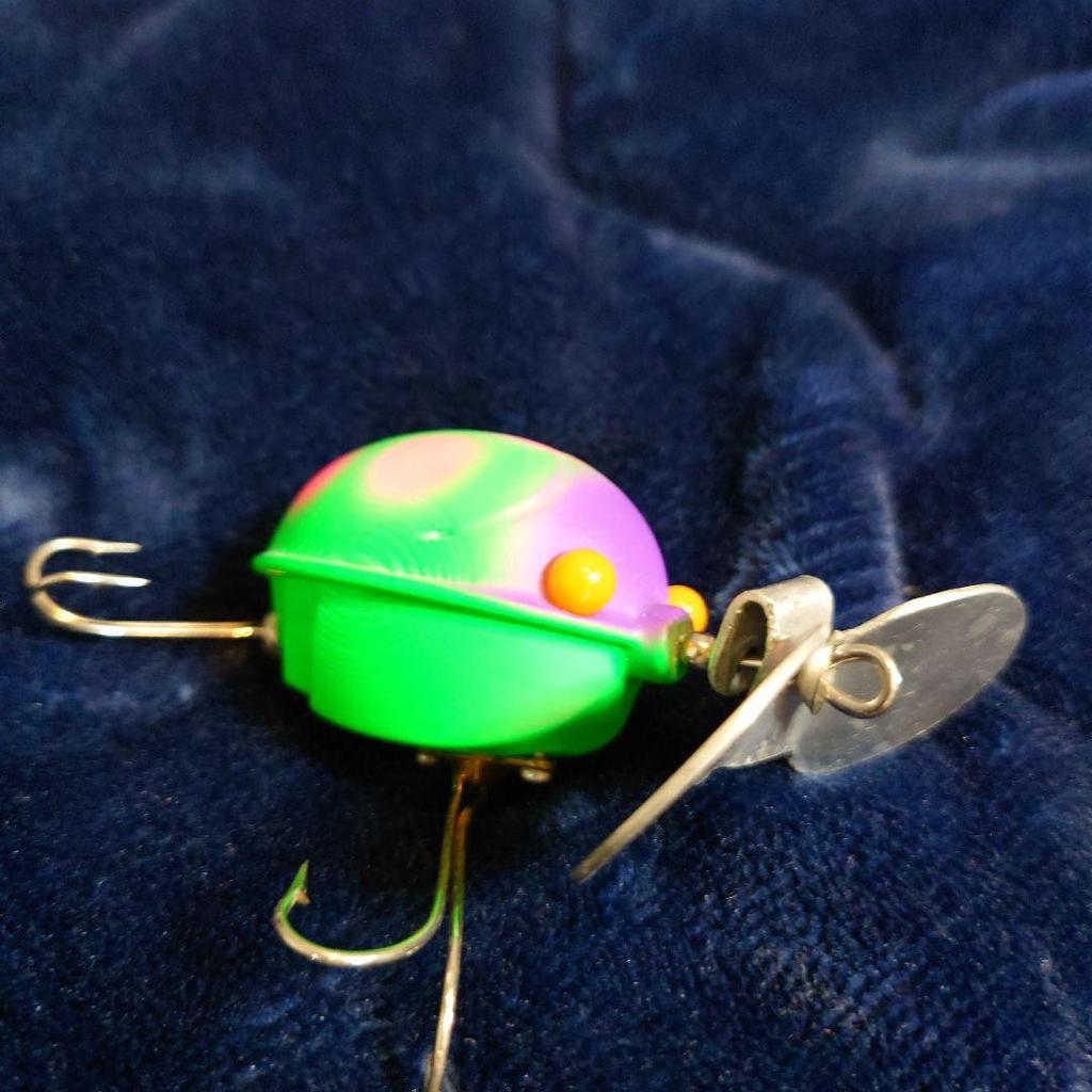 Frog s Ladybug - Image 8