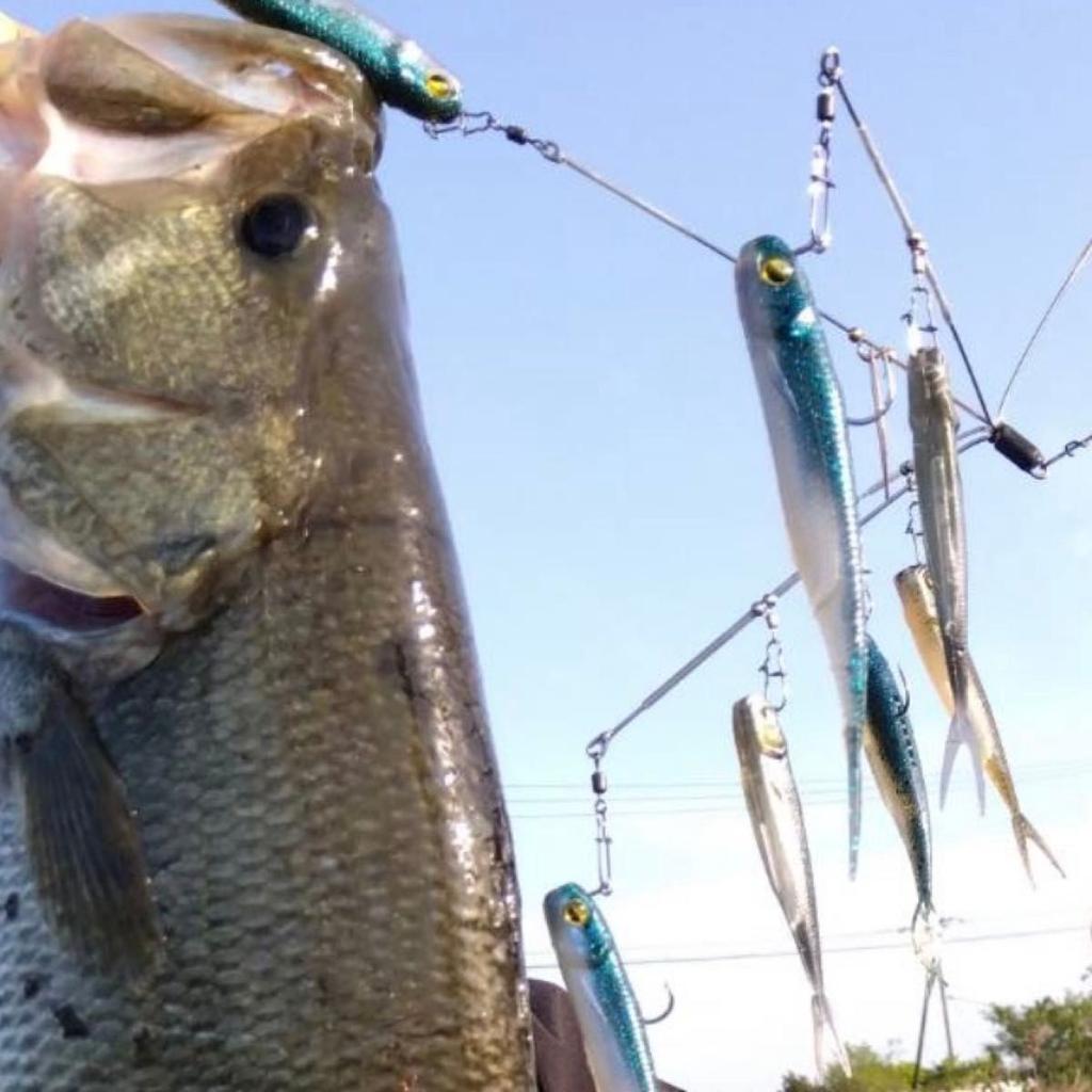 Alabama Rig Bama Fish Roller Ghost Wire Complete Set Used for Bass Fishing - Image 6