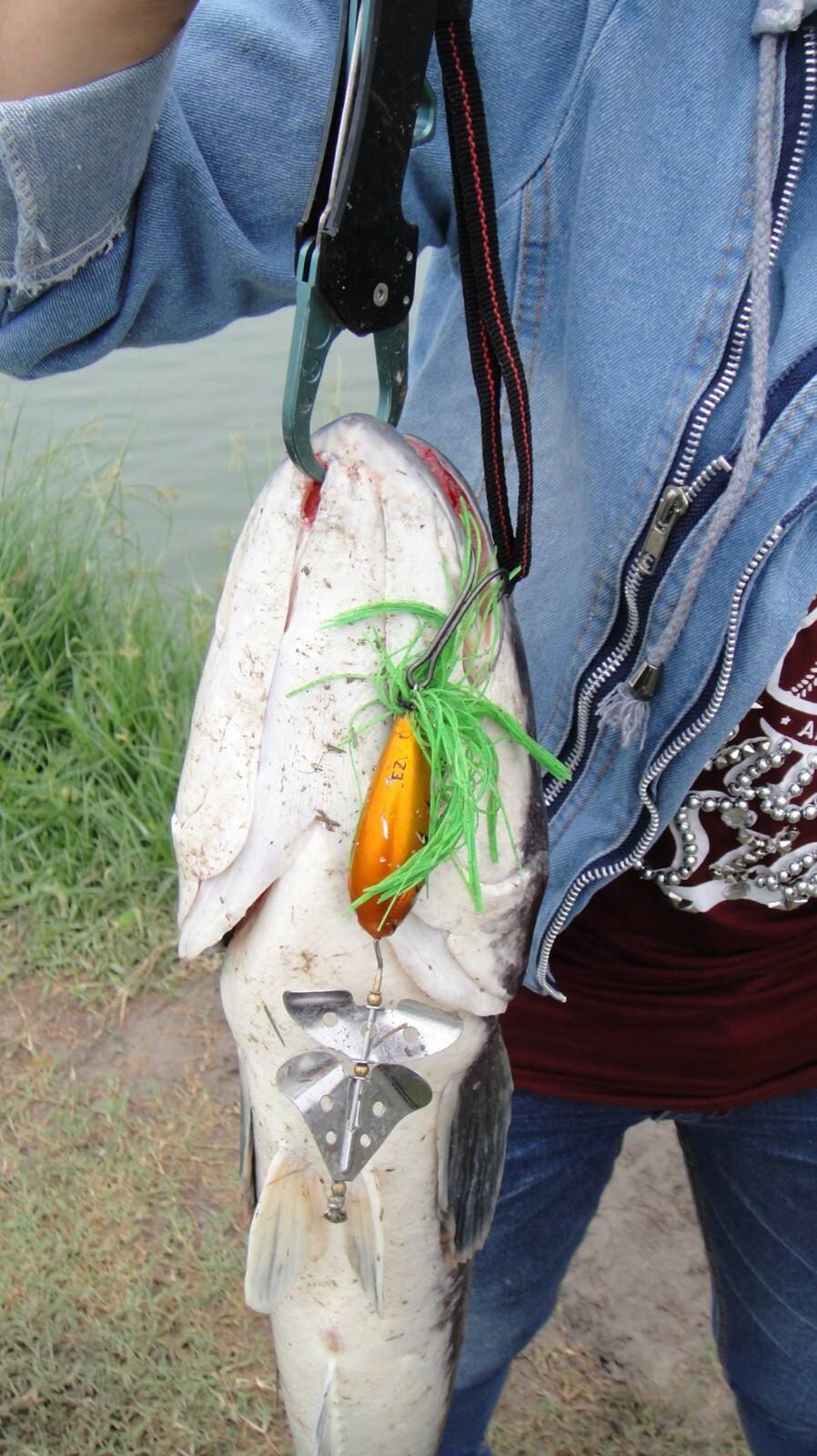 05 / HANMADE DOUBLE BLADED BUZZBAIT. BASS, NORTHERN PIKE, MUSKIE/ MUSKY. - Image 3