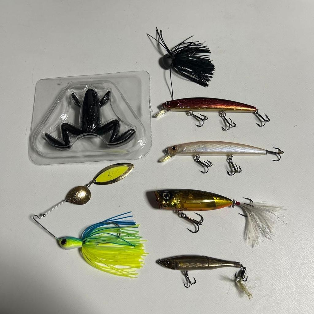 Bass fishing retirement setplugs x 4, spinnerbait x 1, rubber jig x 1, worm x 1 - Image 1