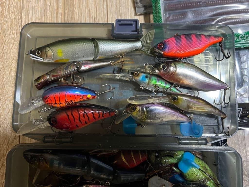 Bass Fishing Retirement Set, Includes Jerkbaits & Unused Soft Plastics - Image 2