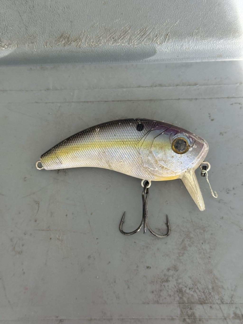 Googan Squad, River2Sea & Strike King Fishing Lure FOR BASS Box Lot (25+ baits) - Image 8