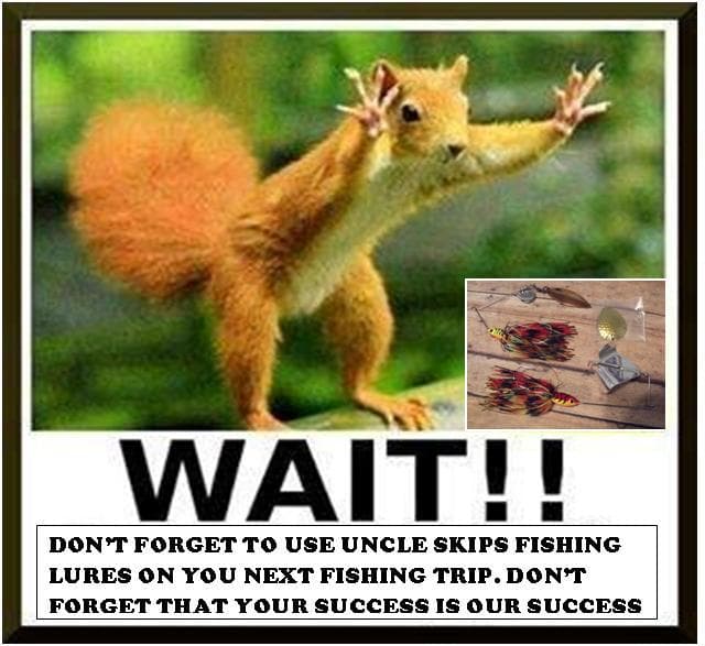 NEW @ UNCLE SKIPS *)(( 1/2oz.MUD CREEK DAWG SPINNERBAIT & BUZZBAIT L@@K L@@K  - Image 1