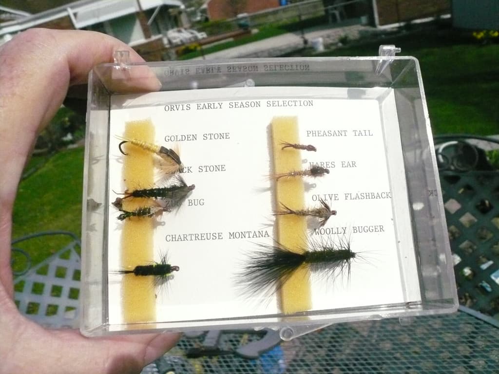 10 ORVIS FLY LURES ,8 EARLY SEASON NYMPHS IN CASE,WOOLY BUGGER,+SILVER SHINER - Image 2