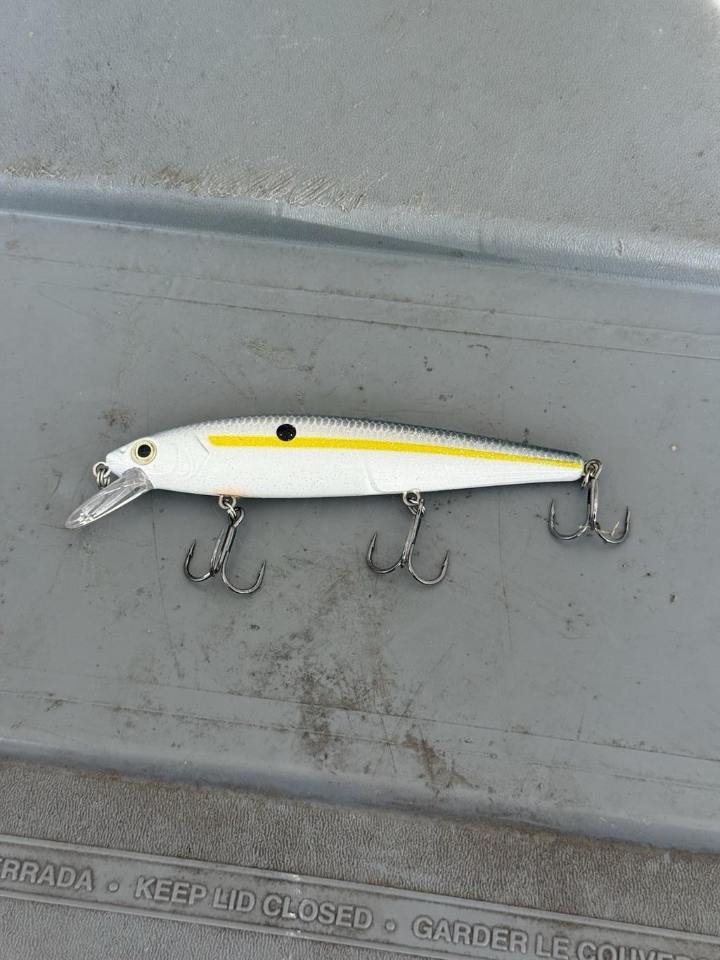 Googan Squad, River2Sea & Strike King Fishing Lure FOR BASS Box Lot (25+ baits) - Image 9