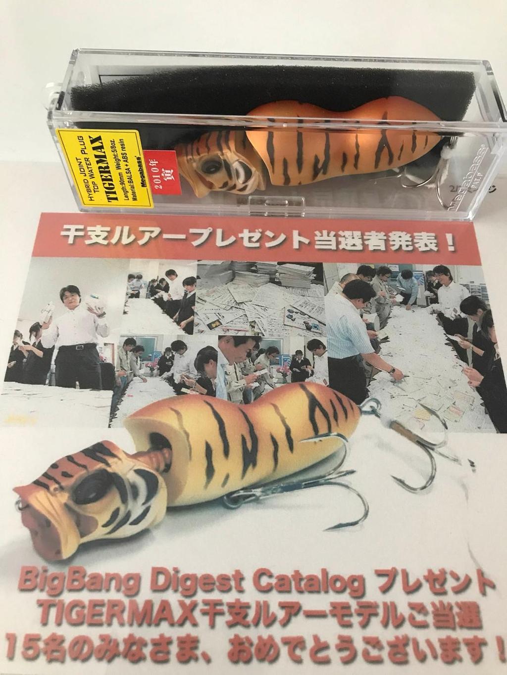 Megabass Eto Tiger Max - Image 2