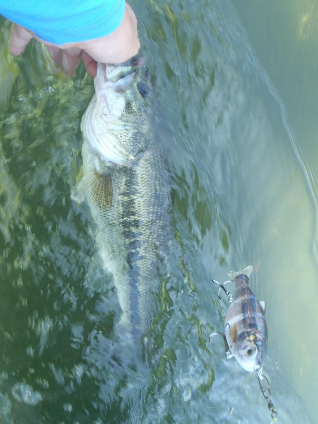 Swimbait sale auction 10 swimbaits  Striper swimbait fishing Glide Bait bass - Image 9