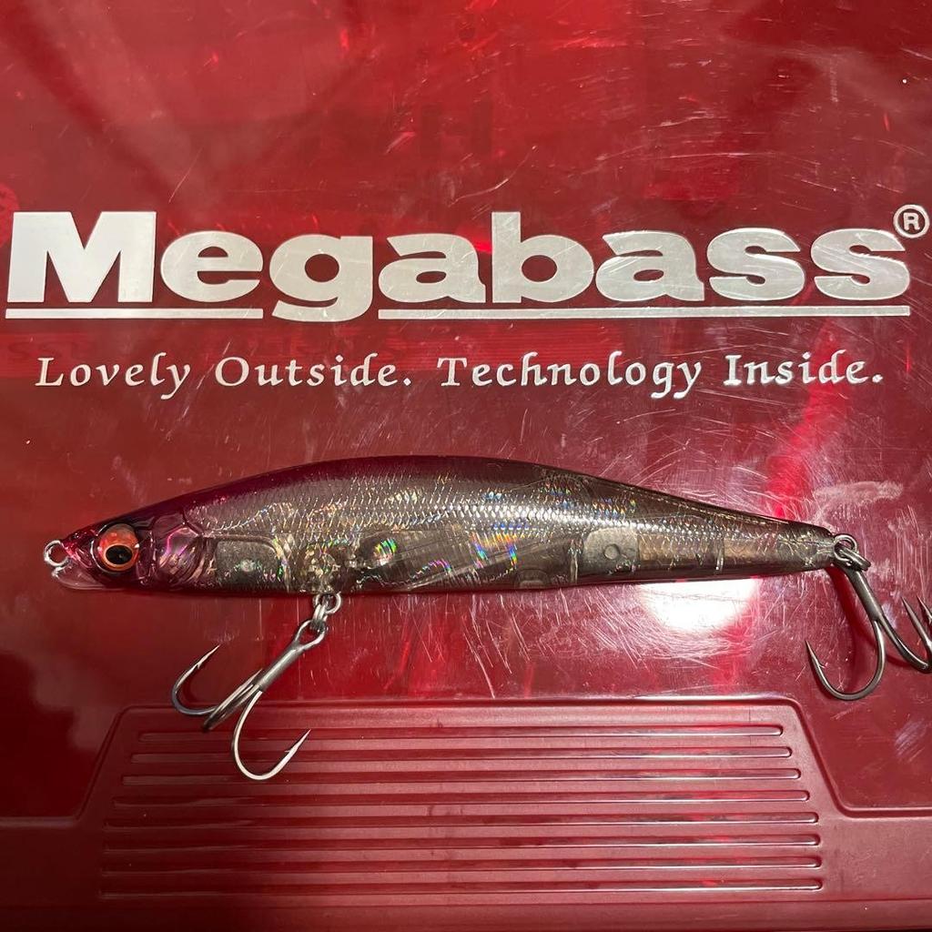 Megabass Genma 110S 21g Glide Swimbait Used Fishing Lure - Image 5