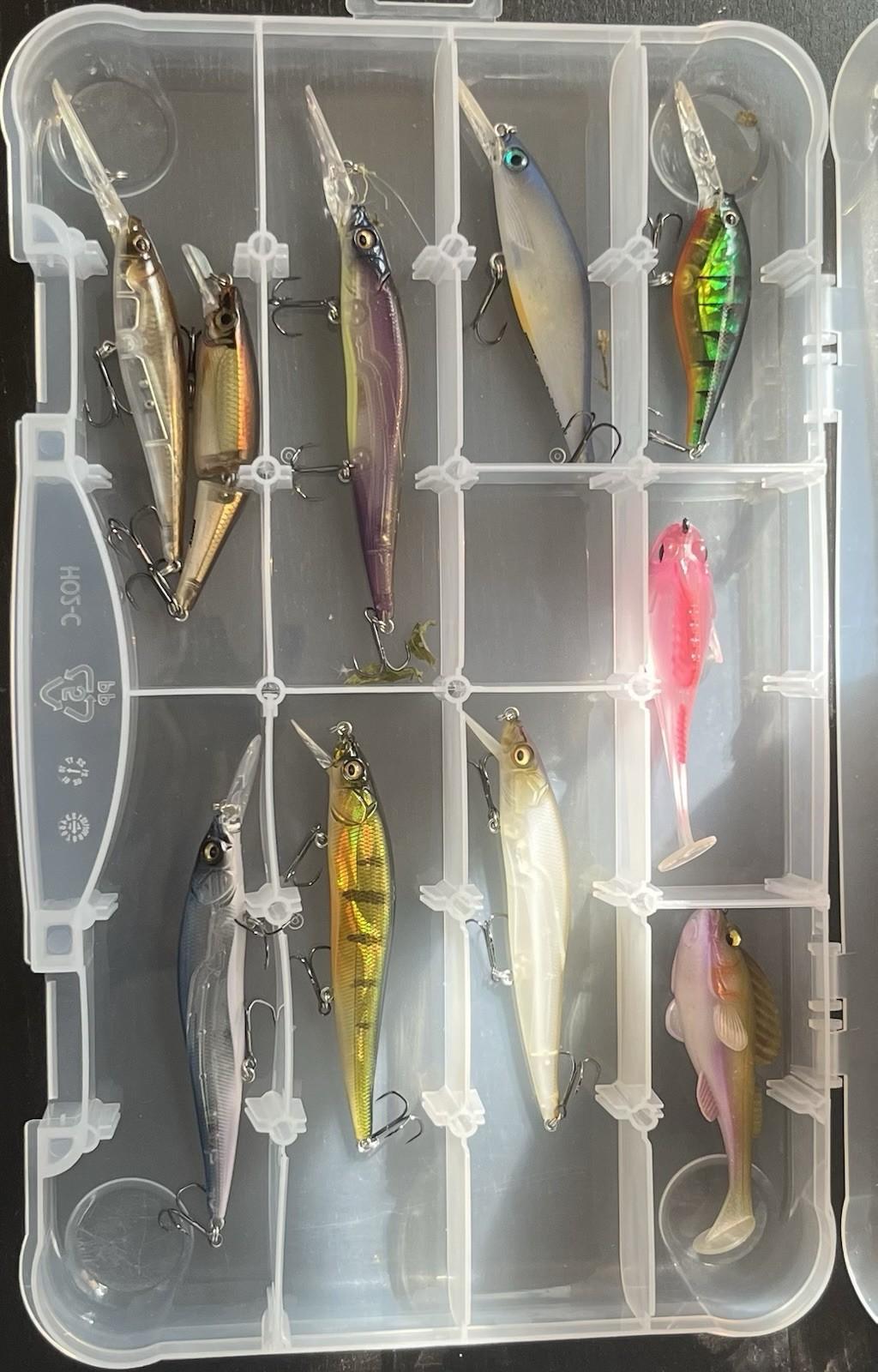 Massive Lure Lot Mega Bass - Image 3
