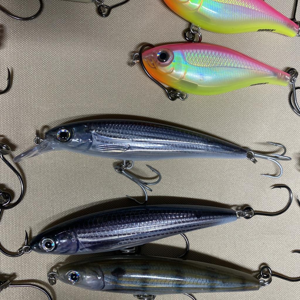Giant Bundle of 55 Rapala X-Rap Jerkbaits - Top water Awesome Colors and Sizes! - Image 8
