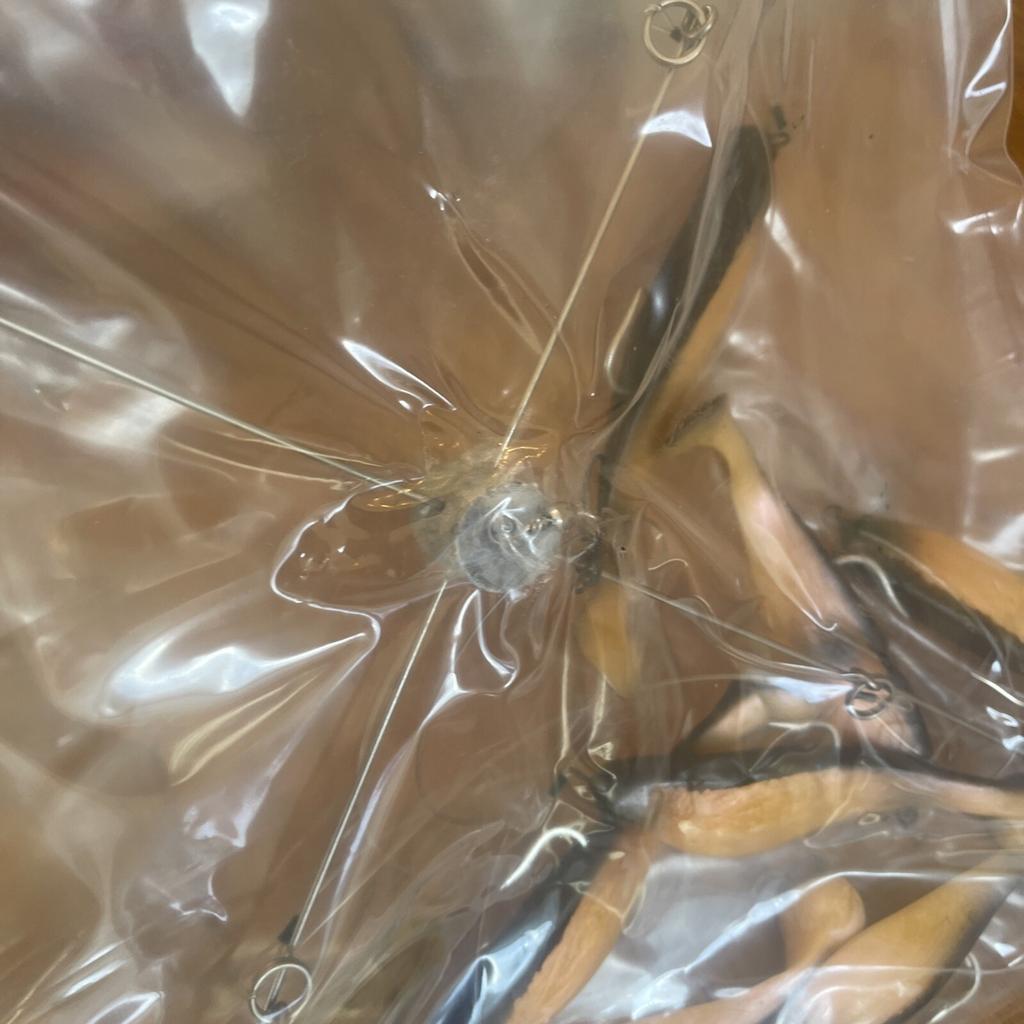 9” Umbrella Rig 4 Arm 11” With 6” Shad (9)  Pearl Black 8/0 Hook Mustad New Pkg - Image 4