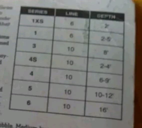 Strike King Premiere PRO model series 4S Hcps-517 Diving 2-4' Crankbait  - Image 4