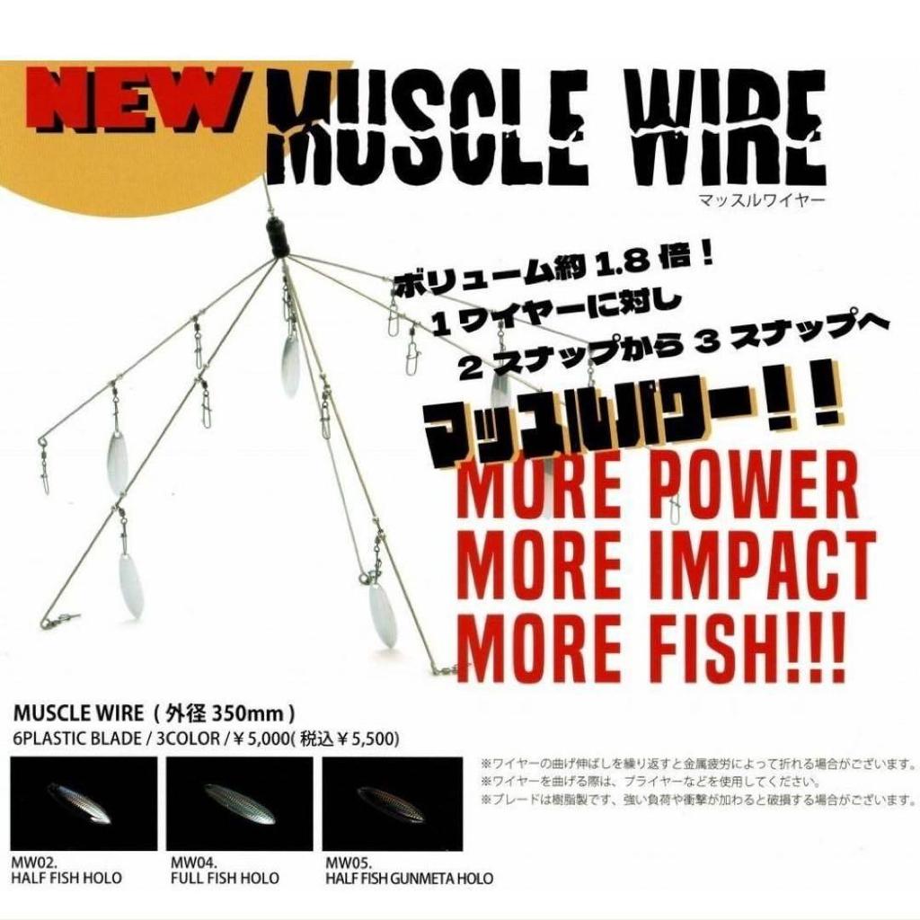 Ghost Wire Raid Muscle Wire Japan Fishing Accessories - Image 2