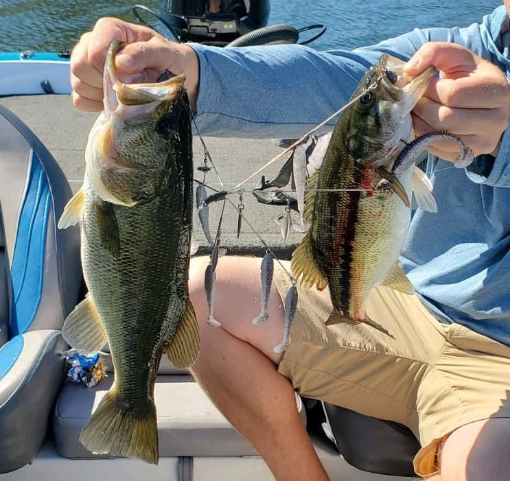 Mega Baitball - Premium Hardware - Alabama Umbrella Rig - BAITS NOT INCLUDED - Image 2