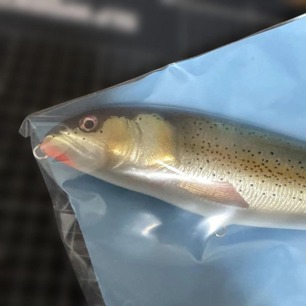 Tomos Lure Lunch Packer 10" Unused Fishing Bait - Image 2