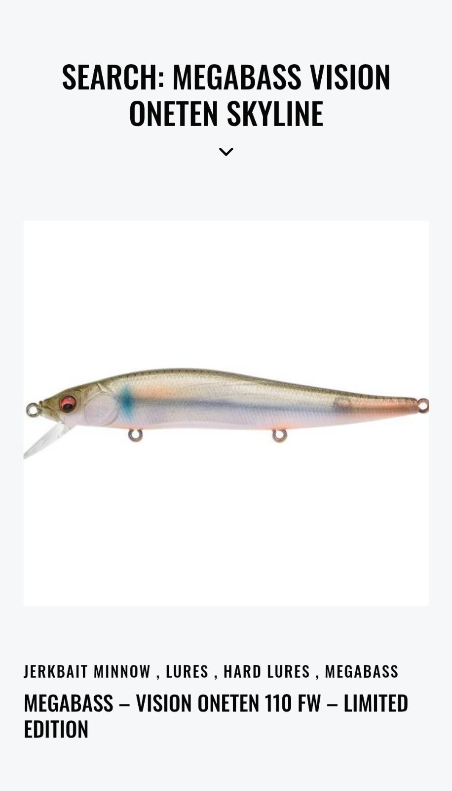 Megabass Vision 110 Skyline RARE LMTD 100pcs France Release SOLD OUT BRAND NEW - Image 5