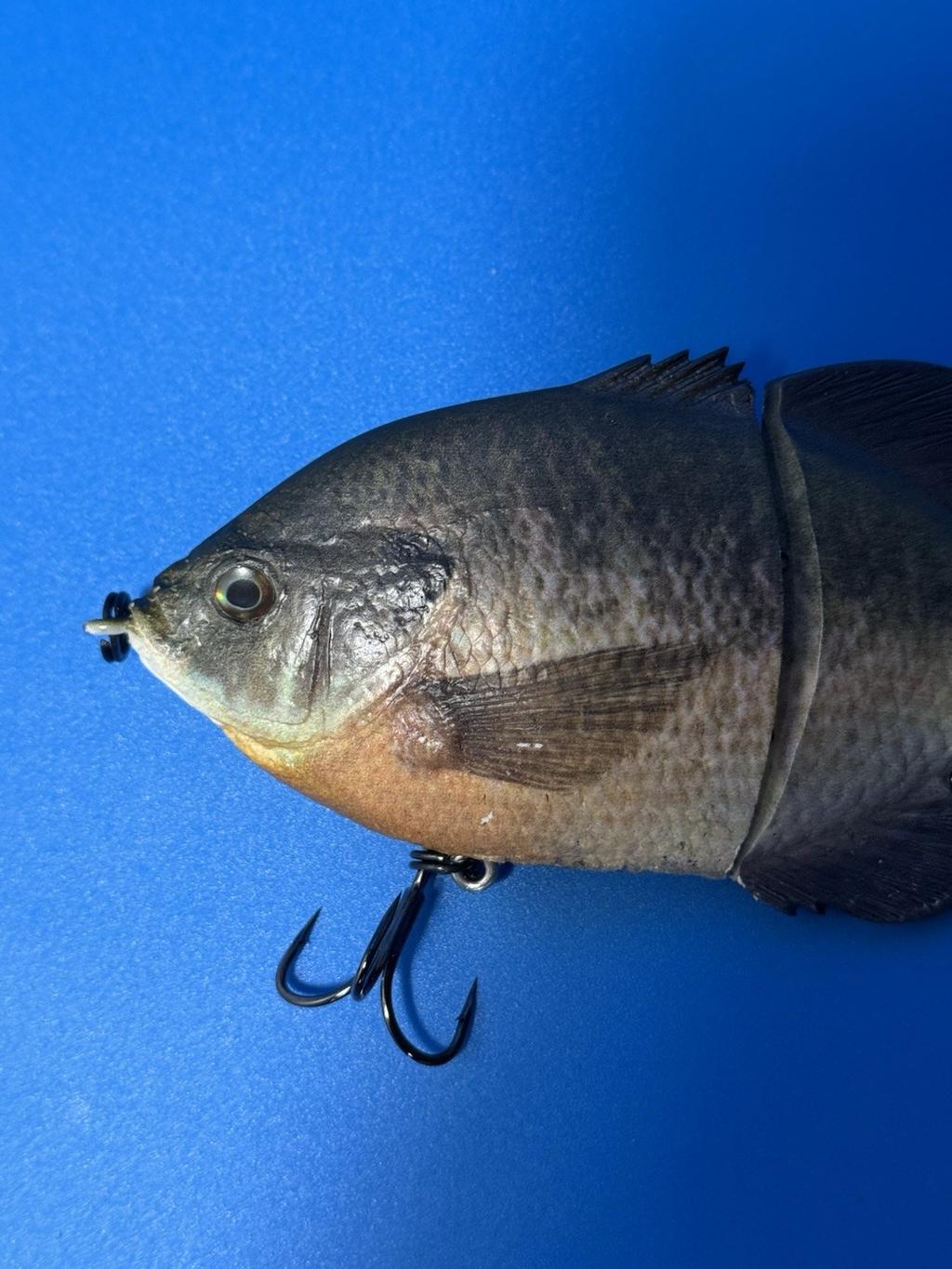 Sly Guy Lures X Swimbait Underground Replica Gill - 6.2" Glide Bait Swimbait - Image 5