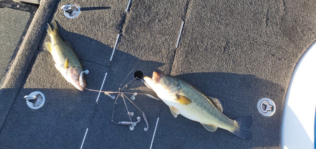 Mega Baitball - Premium Hardware - Alabama Umbrella Rig - BAITS NOT INCLUDED - Image 3