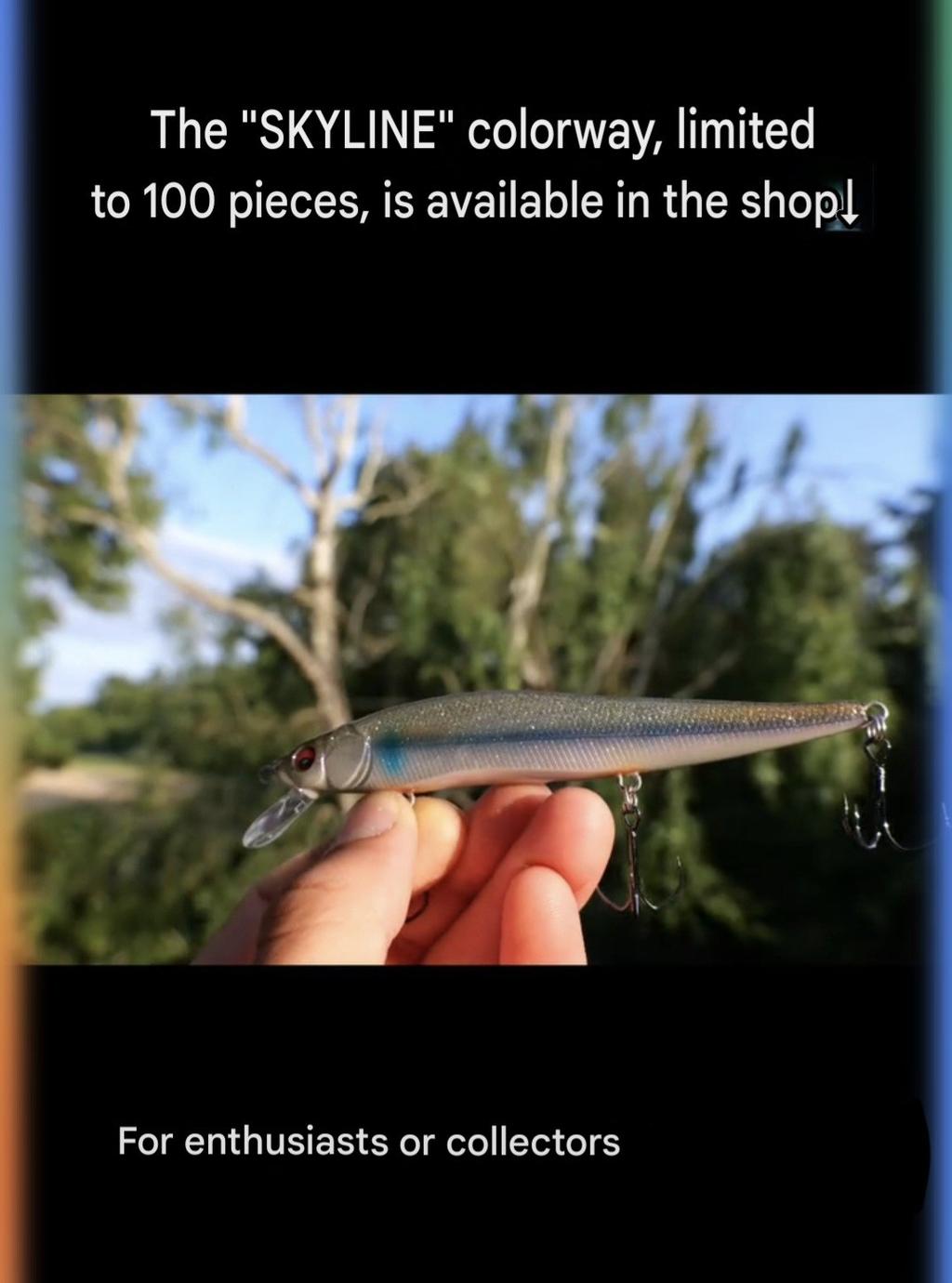 Megabass Vision 110 Skyline RARE LMTD 100pcs France Release SOLD OUT BRAND NEW - Image 6